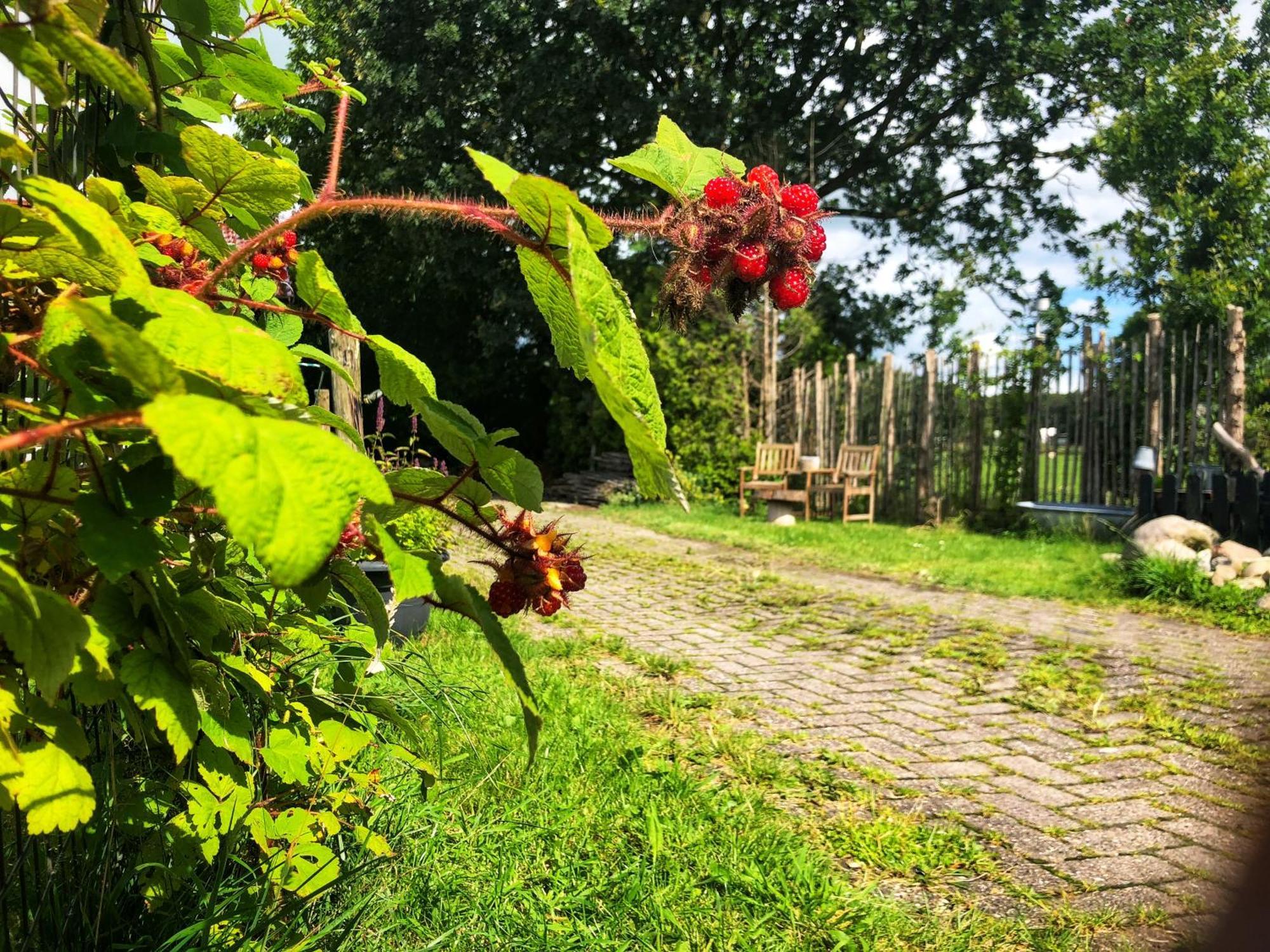 B&B Zandhuizen المظهر الخارجي الصورة